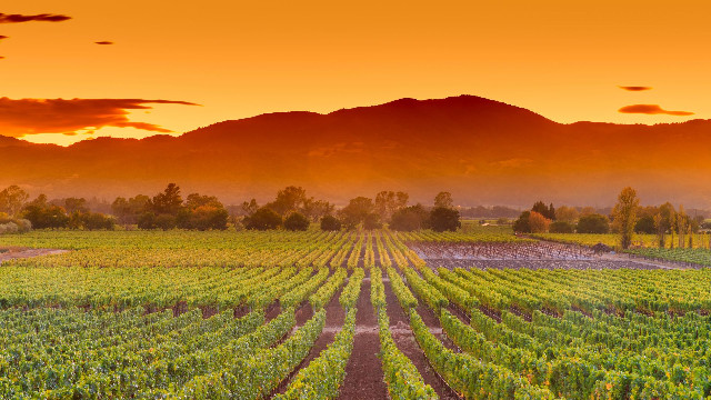 Napa Valley winter sunset